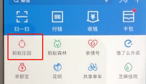 手機(jī)支付寶APP飼養(yǎng)寵物的具體操作流程