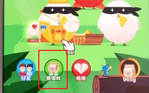 手機(jī)支付寶APP飼養(yǎng)寵物的具體操作流程