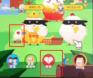 手機(jī)支付寶APP飼養(yǎng)寵物的具體操作流程