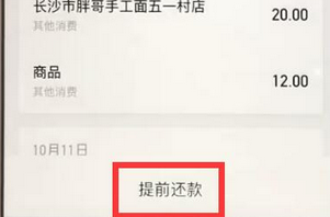 支付寶APP提前結清花唄的具體操作步驟
