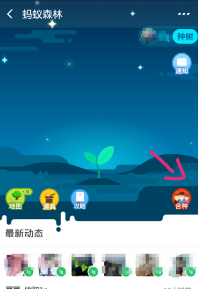 支付寶螞蟻森林如何發(fā)起合種？螞蟻森林操作教程