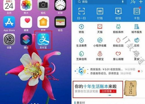 支付寶我的十年生活賬本如何查看？我的十年生活賬本查看方法介紹！