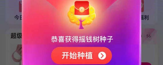 淘寶搖錢樹在哪里？淘寶搖錢樹位置詳情介紹！