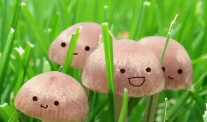 微信微粒貸怎么開通？小編教你玩轉微粒貸！