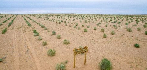 螞蟻森林全民義務植樹盡責證書獲得方法分享