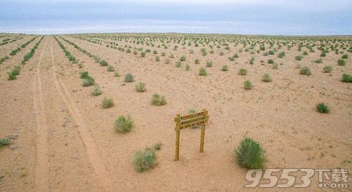 螞蟻森林全民義務植樹盡責證書怎么獲取 全民義務植樹盡責證書獲取方法