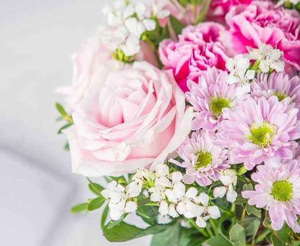 支付寶拉新活動在哪 支付寶拉新活動紅包怎么領