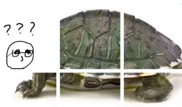 抖音上人頭烏龜身圖片六宮格拼圖怎么玩 人頭烏龜身圖分享