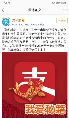 支付寶錦鯉是什么意思_支付寶錦鯉獎勵內容清單