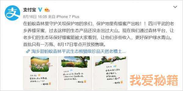 支付寶錦鯉是什么意思_支付寶錦鯉獎勵內容清單