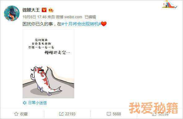 支付寶錦鯉是什么意思_支付寶錦鯉獎勵內容清單