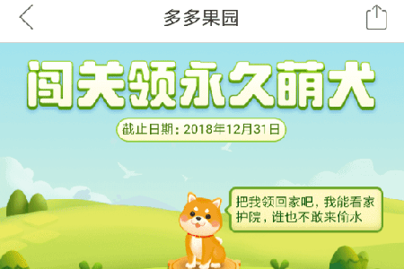 拼多多果園怎么養狗 果園養狗方法介紹