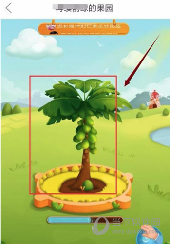 拼多多種水果是真的嗎 種水果得水果可信嗎