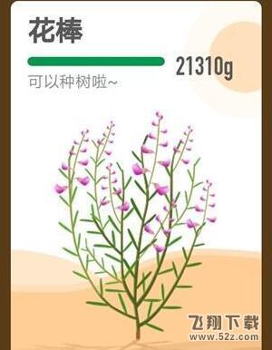 支付寶螞蟻森林花棒怎么種_支付寶螞蟻森林花棒要多少能量