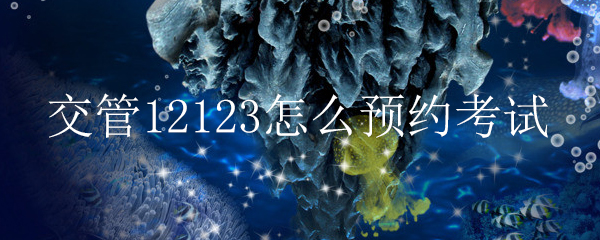 交管12123怎么注冊_交管12123注冊方法