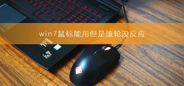 win7鼠標能用但是滾輪沒反應