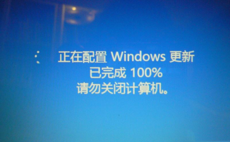 Windows11關閉自動更新配置方法介紹