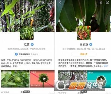 QQ瀏覽器掃一掃有什么用 掃一掃功能介紹