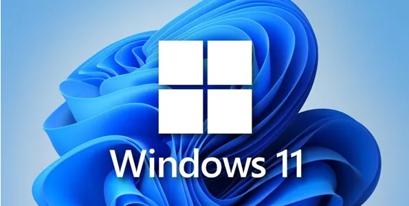 Windows11打開設備同步備份功能技巧分享
