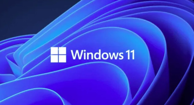 Windows11設置文件高級共享權限技巧分享