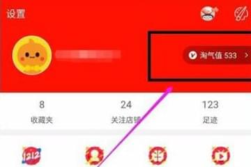 淘寶淘氣值怎么提升 淘寶淘氣值增長小技巧