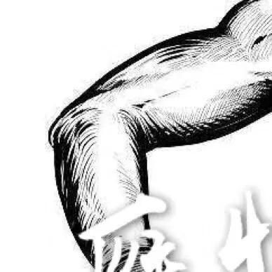 抖音雁怕離群人怕掉隊圖片在哪找_高清無水印分享