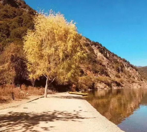 抖音網紅酒店有哪些_抖音上火爆的酒店分享