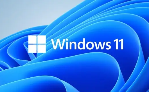 Win11系統dns異常無法連接至網絡如何處理