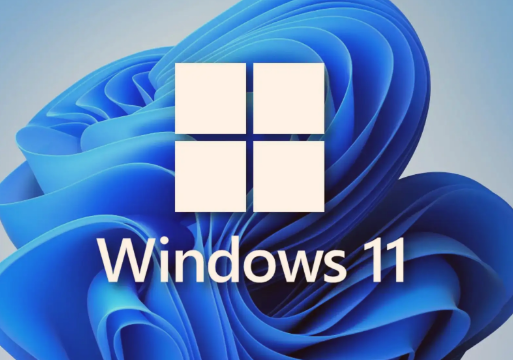 Win11怎么處理更新出錯(cuò)