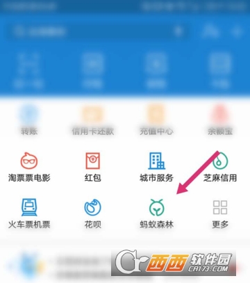 支付寶怎么開啟能量可收取提醒 開啟收取提醒方法