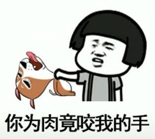 抖音我在那小區遛狗是什么歌？