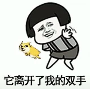 抖音我在那小區遛狗是什么歌？