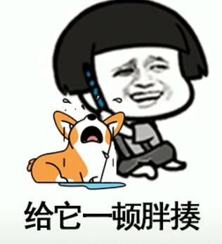 抖音我在那小區遛狗是什么歌？