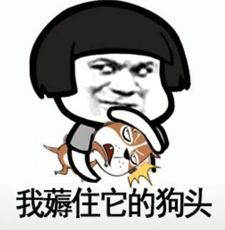 抖音我在那小區遛狗是什么歌？