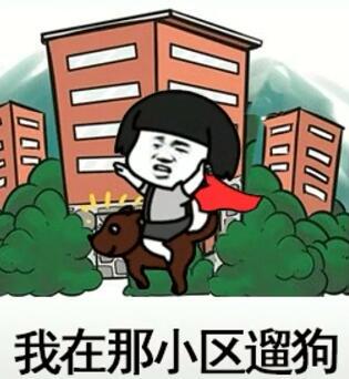 抖音我在那小區遛狗是什么歌？