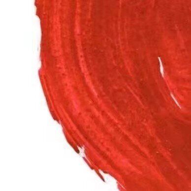 抖音現在我的眼里只有錢九宮格圖片分享