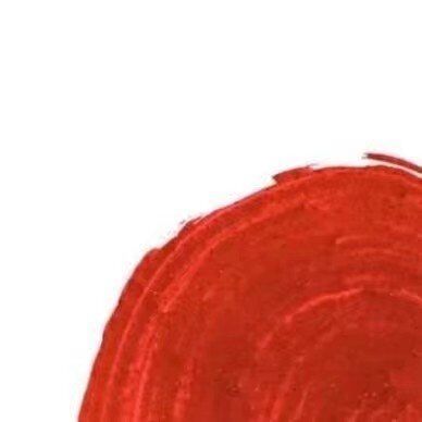 抖音現在我的眼里只有錢九宮格圖片分享