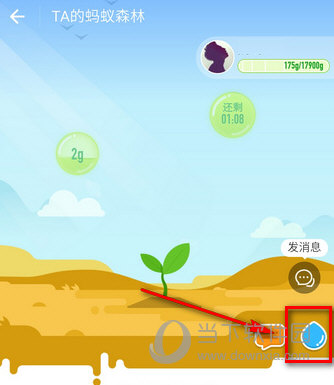 支付寶螞蟻森林怎么澆水 給好友澆水方法