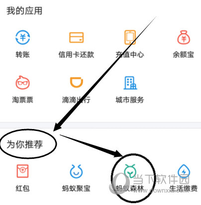 支付寶螞蟻森林怎么領取小樹苗 領取樹苗方法