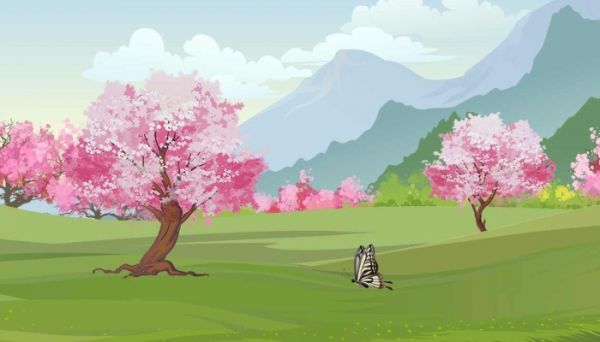 梅花開了怎么發朋友圈 梅花開了發朋友圈