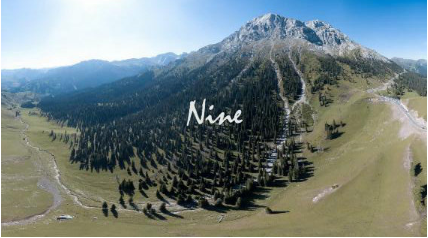 抖音tennineeightsevensixfive是什么歌？完整版歌曲享