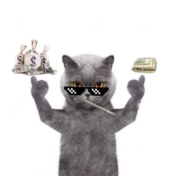 【抖音后裔射日圖+霸氣貓】原圖高清版分享