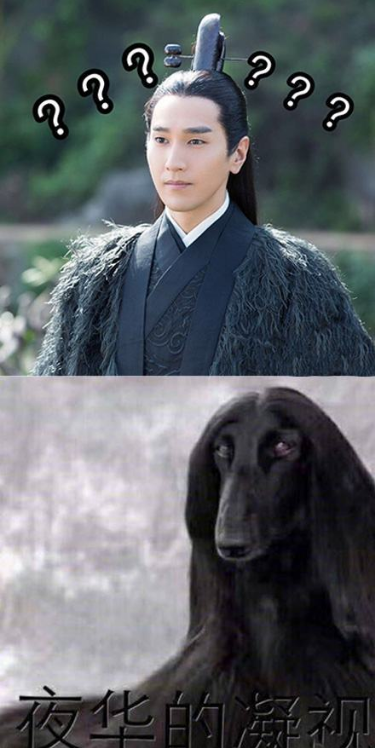 抖音馬思純的微笑什么梗?評論哈哈出現(xiàn)馬思純的微笑什么意思?