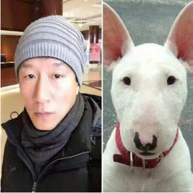 抖音馬思純的微笑什么梗?評論哈哈出現(xiàn)馬思純的微笑什么意思?