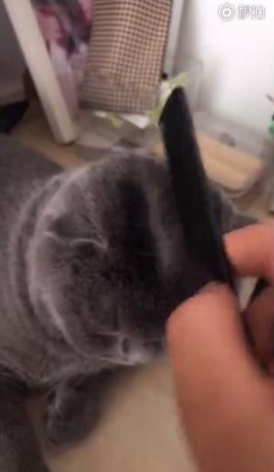 抖音你認(rèn)我做大哥我教你梳中分是什么梗