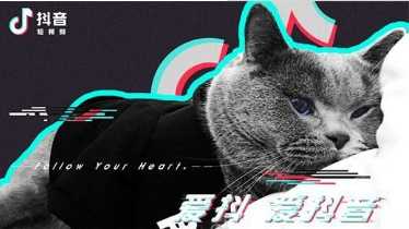 成人版抖音軟件叫什么？成人版抖音和抖音有什么區別