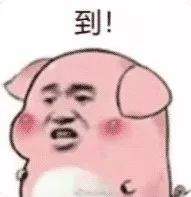 【抖音熱門(mén)豬圈GIF表情包】全套高清無(wú)水印分享