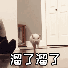 【抖音熱門(mén)豬圈GIF表情包】全套高清無(wú)水印分享