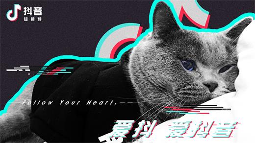 抖音木小雅幻夢(mèng)在哪里聽 木小雅幻夢(mèng)歌曲分享