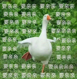 【抖音網(wǎng)紅比心鴨子表情包】比心鴨子高清無水印圖片分享